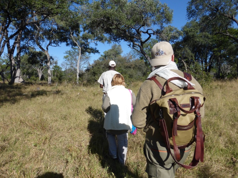 safari a piedi botswana